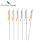 Titanium Alloy Tent Pegs