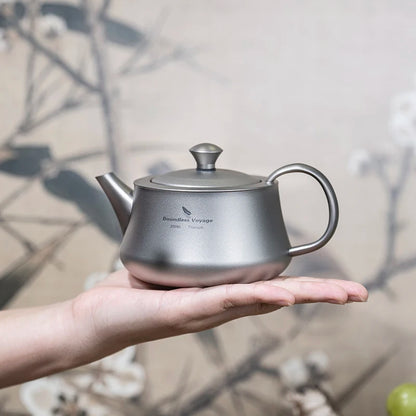 300ml Titanium Teapot with Infuser Chinese Tea Set