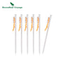 Titanium Alloy Tent Pegs
